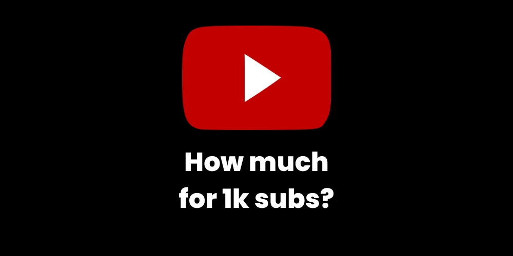 How Much Money Do You Make on YouTube with 1 000 Subscribers ?
